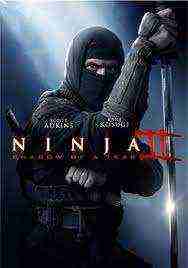Ninja: Shadow Of A Tear (2013)