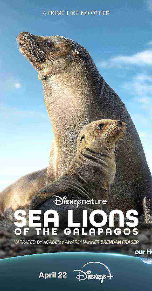 Sea Lions Of The Galapagos (2025)