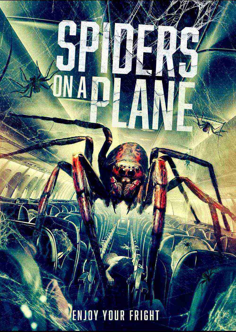 Spiders On A Plane (2024)
