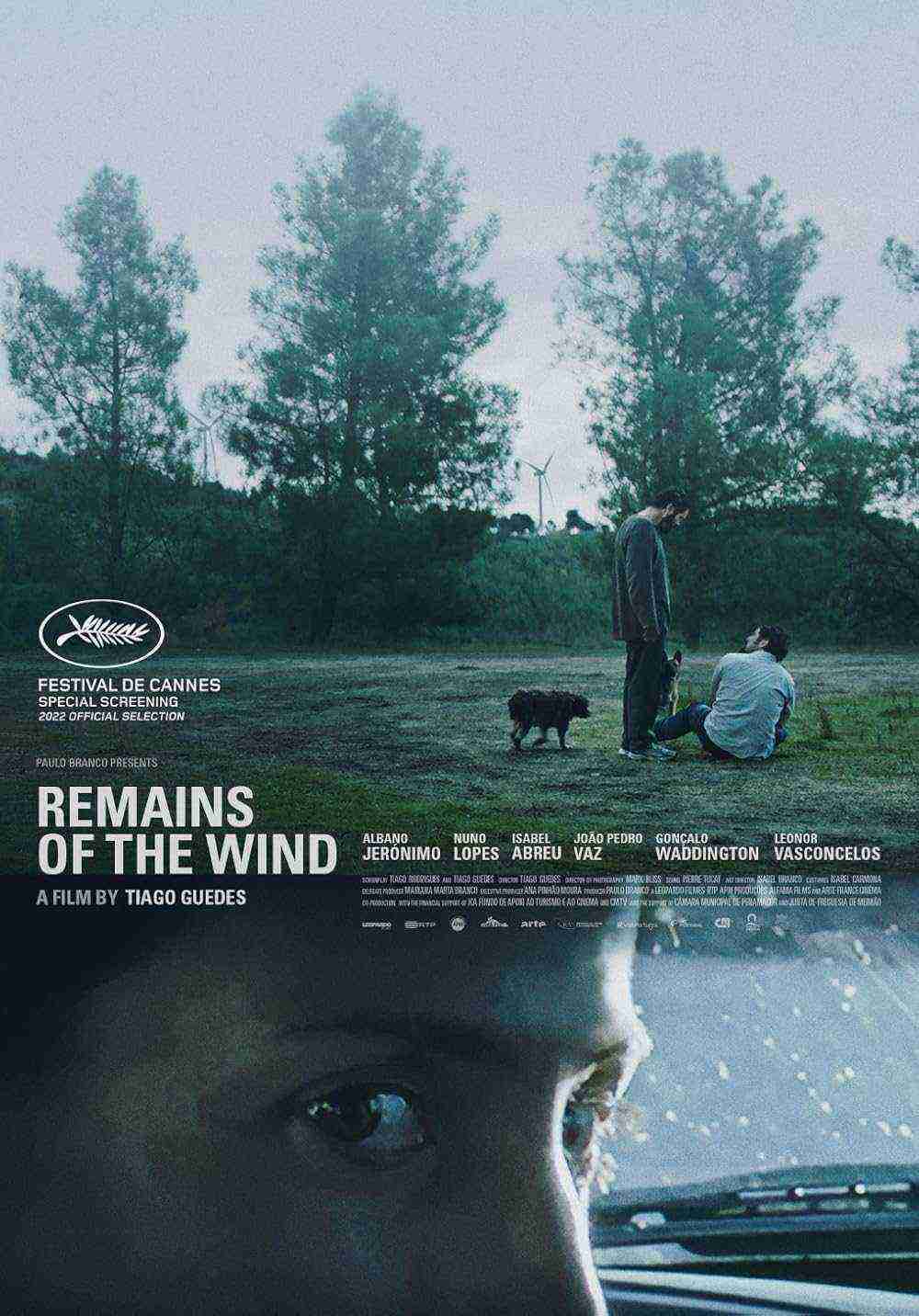 Remains Of The Wind (2022)
