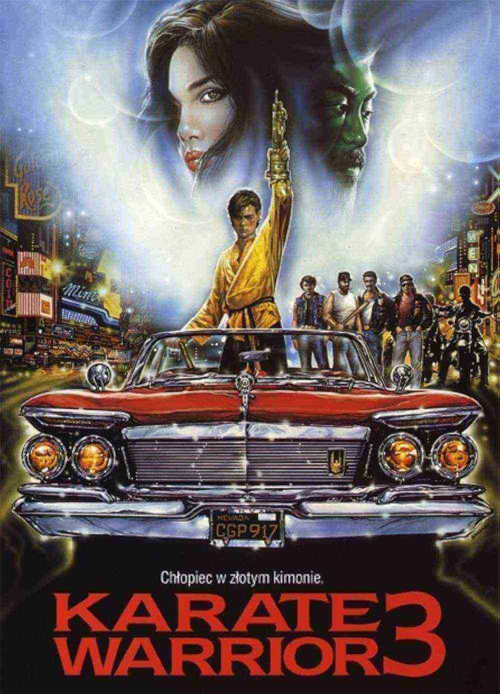 Karate Warrior 3 (1991)
