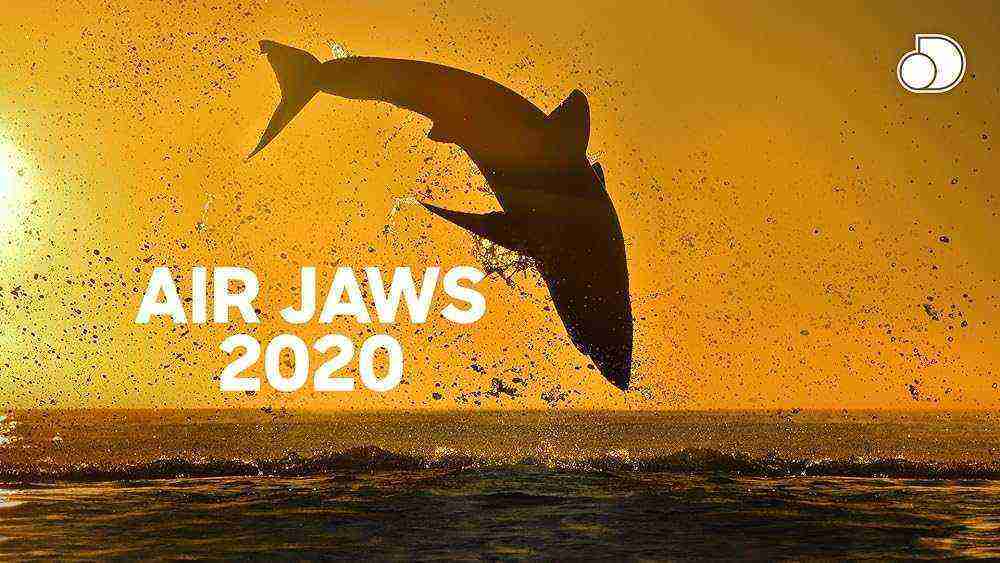 Air Jaws (2020)