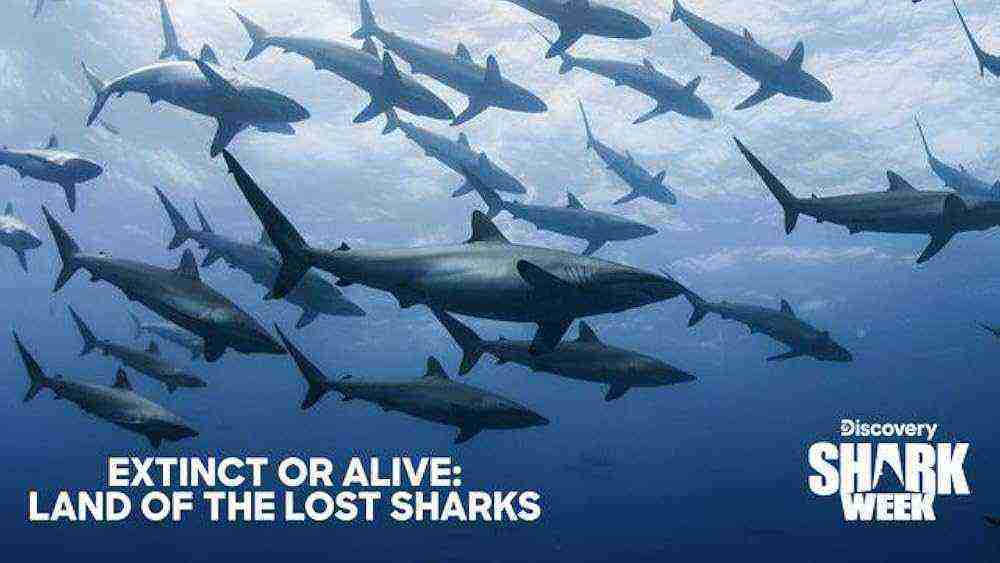 Extinct Or Alive: Land Of The Lost Sharks (2020)
