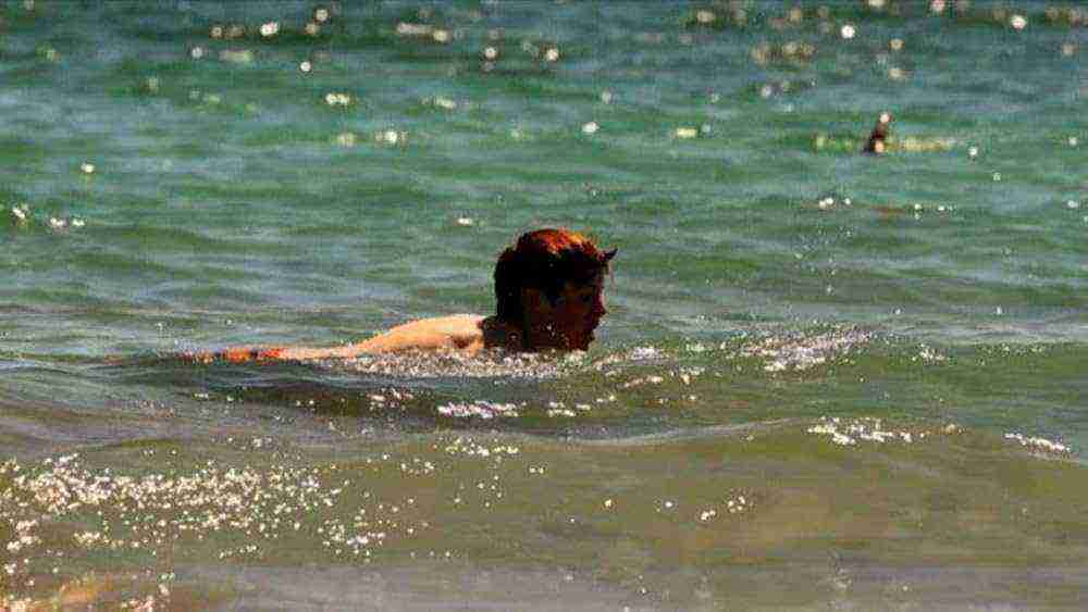Killer Sharks: The Attacks Of Black December (2011)