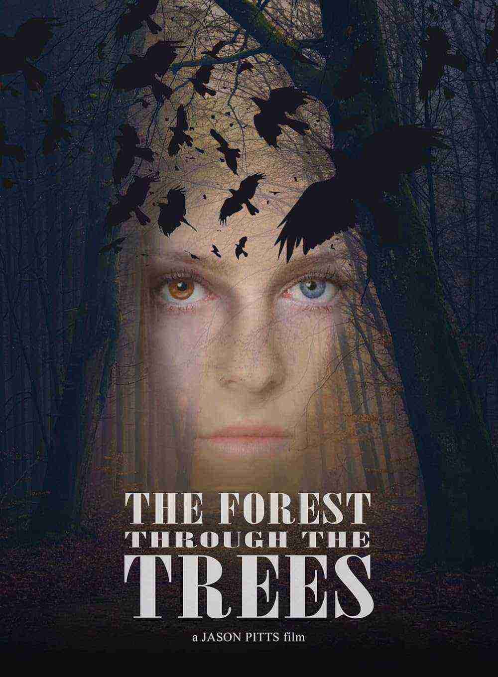 The Forest Through The Trees (2025)