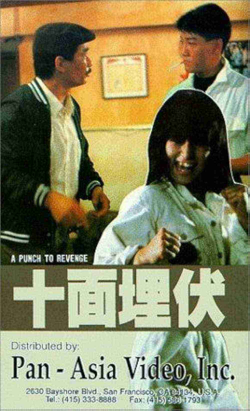 A Punch To Revenge (1989)