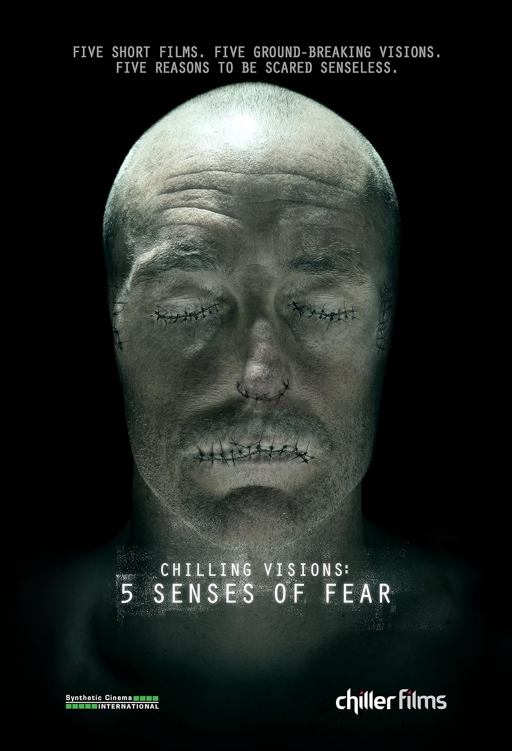 Chilling Visions: 5 Senses Of Fear (2013)