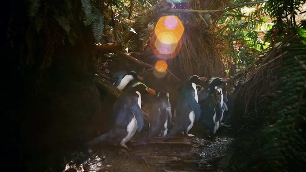 Penguins: Meet The Family (2020)