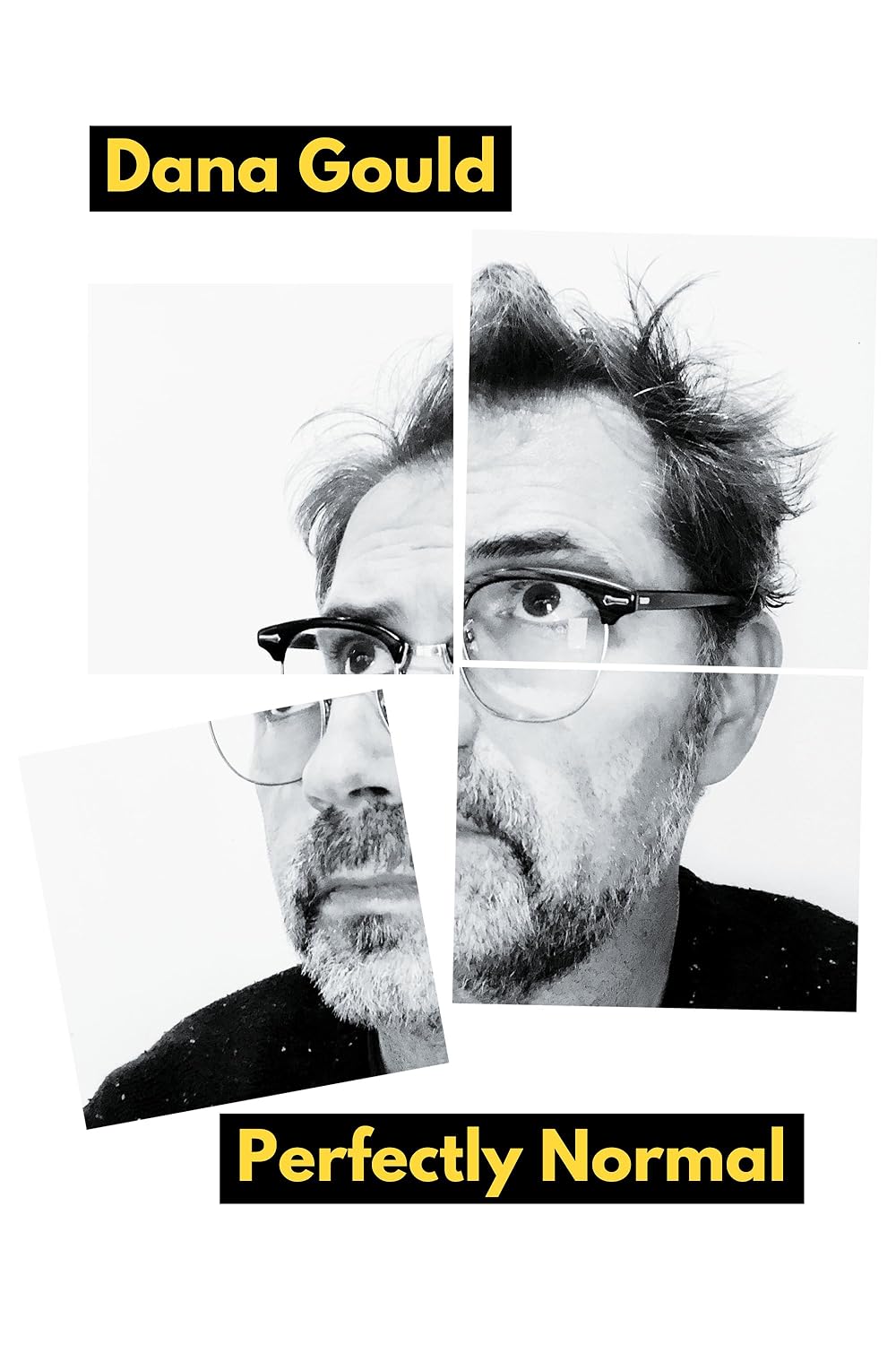 Dana Gould: Perfectly Normal (2025)