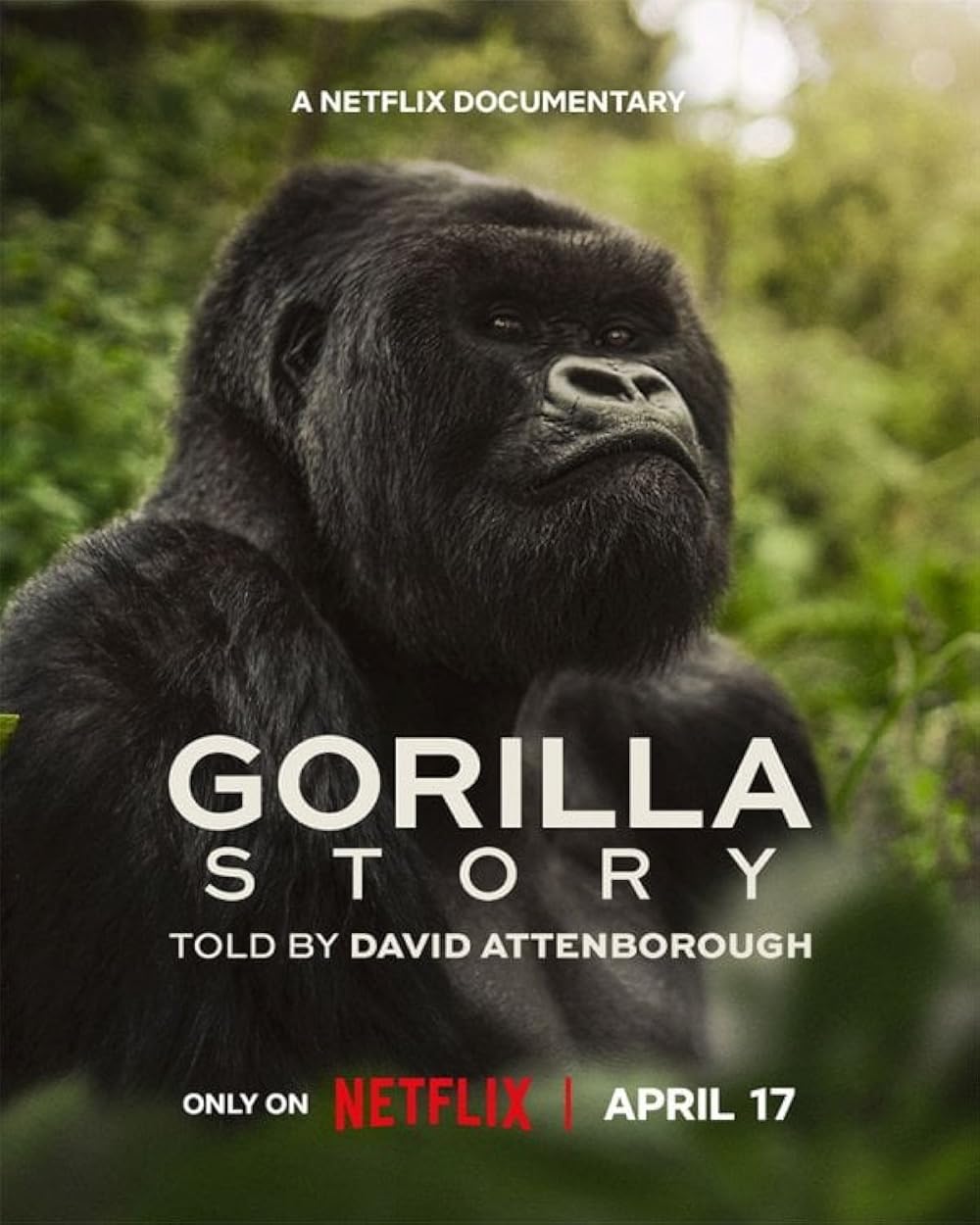 A Gorilla Story: Told By David Attenborough (2026)