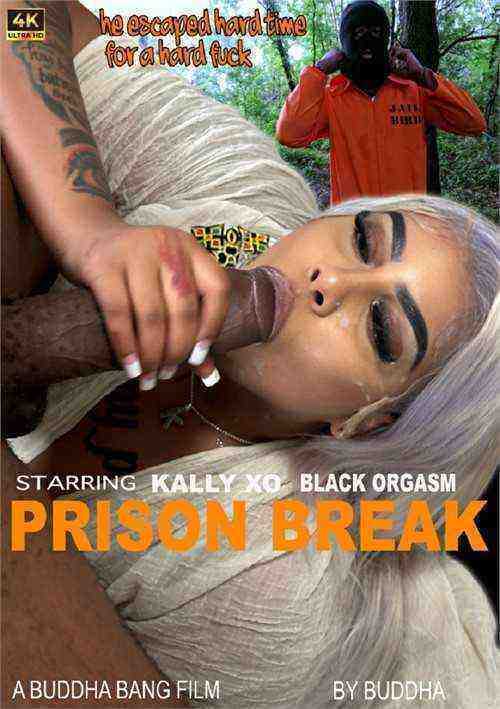 [18+] Prison Break