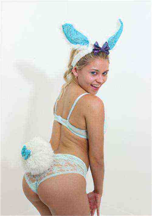 Brown Bunnies 29