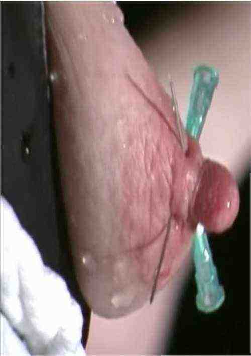 [18+] Shima-19