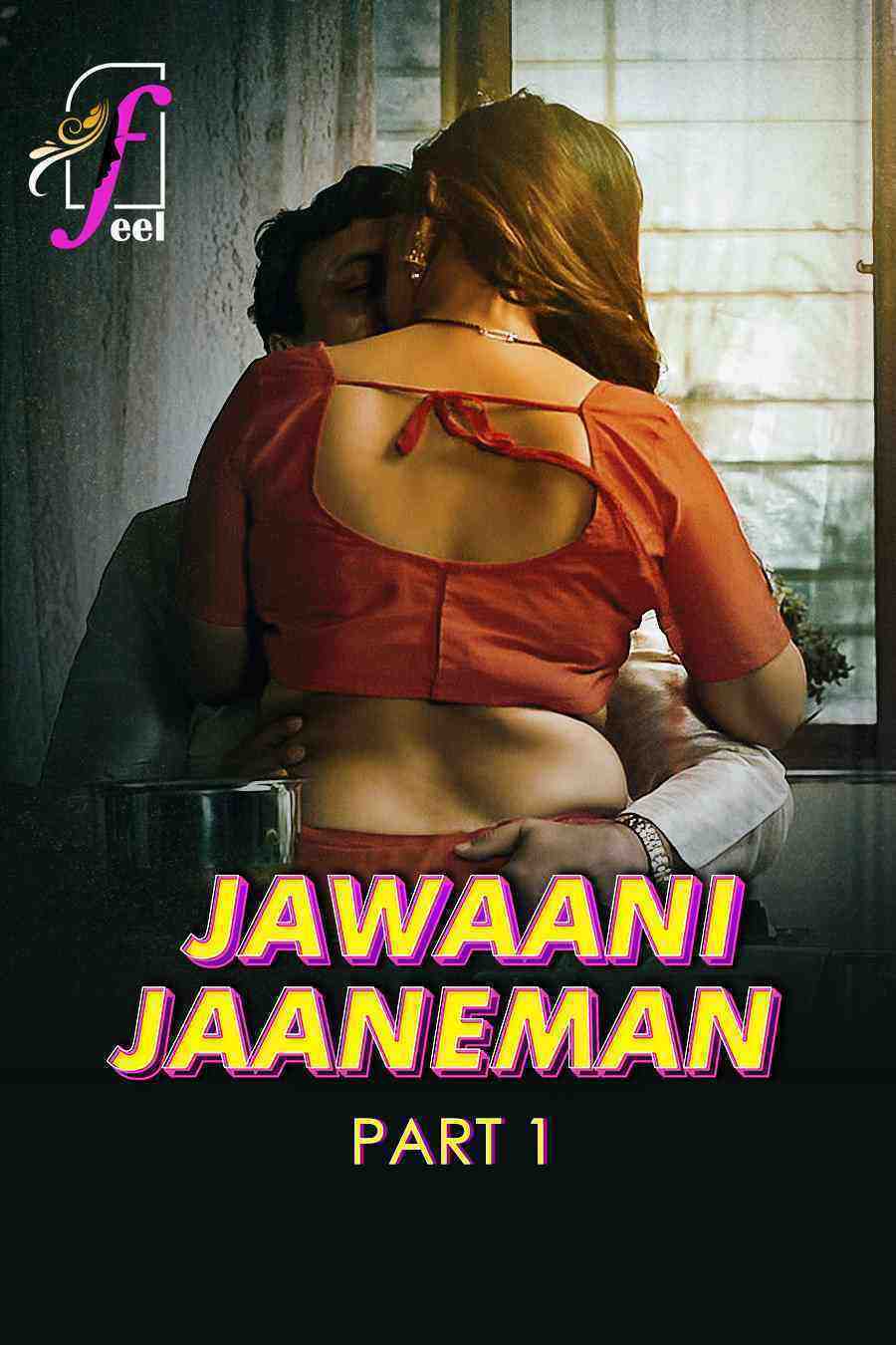 Jawaani Jaaneman (2025) Season 1 Part 1 Episode 1 Feel (2025)