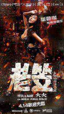Robbery (2016)