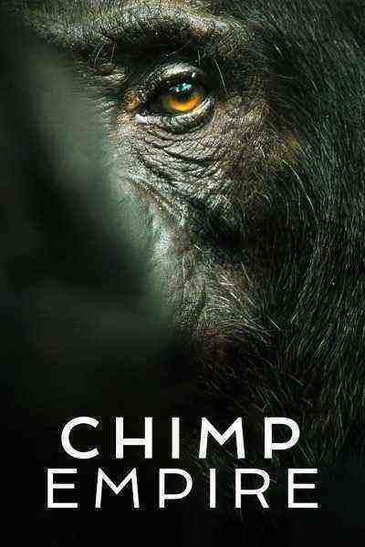 Chimp Empire (0)