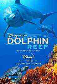 Dolphin Reef (2020)