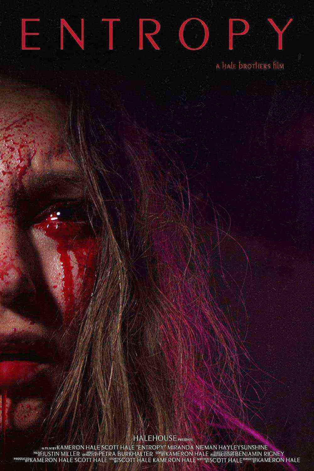 Entropy (2021)