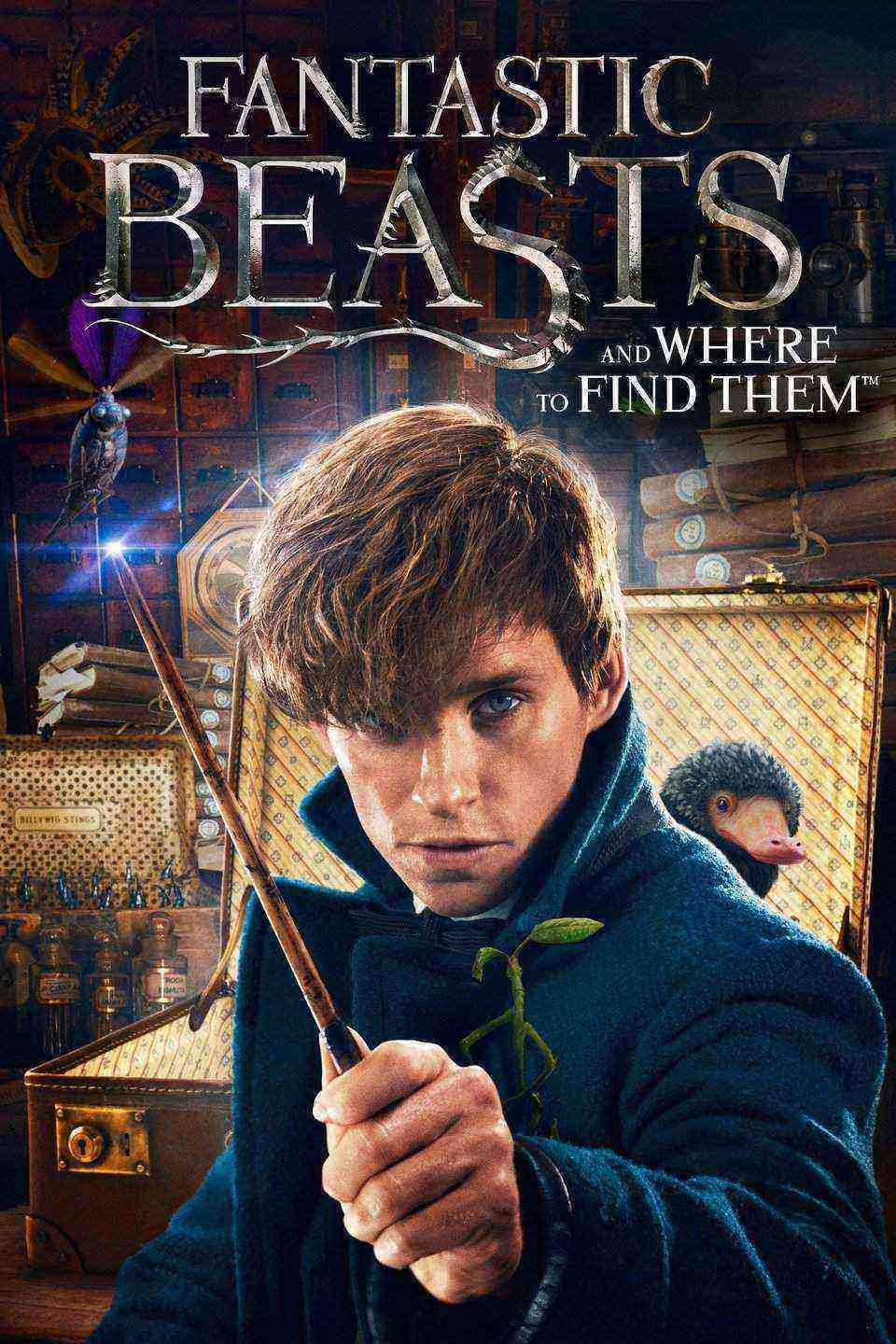 Fantastic Beasts and Where to Find Them (2016)