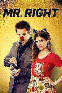 Mr. Right (2016)