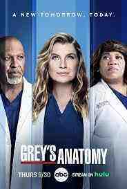 Grey's Anatomy - Season 19 (2022)