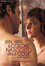 Il colore nascosto delle cose (2017)