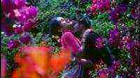 Kunwari Dulhan B Grade Hindi