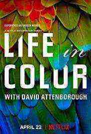 Life in Colour - Season 1 (2021)
