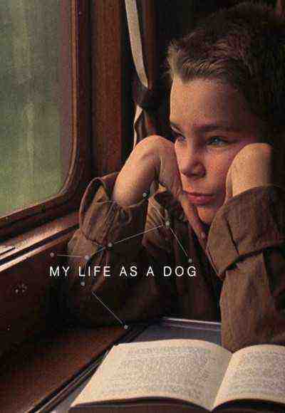 My Life As A Dog (1987)