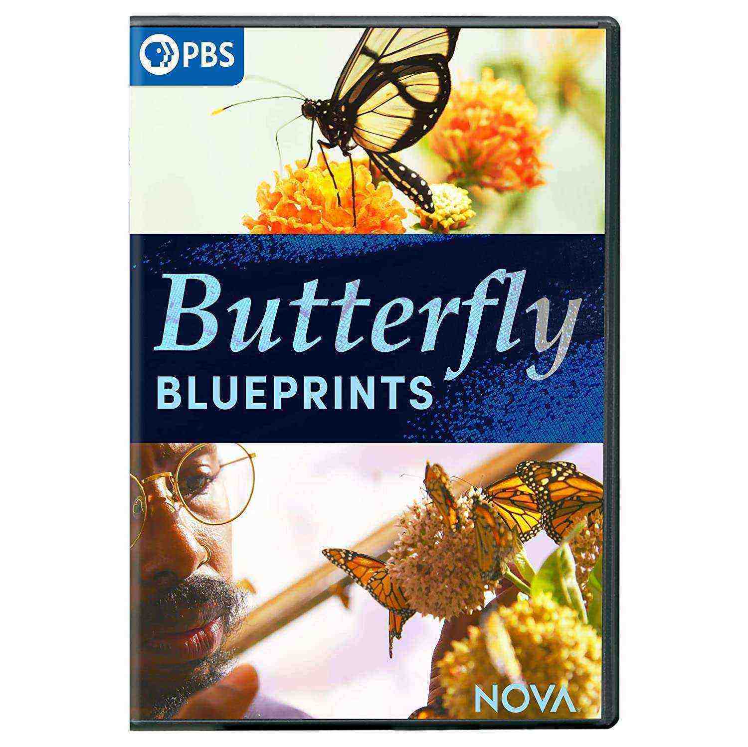 'nova' Butterfly Blueprints (2022)