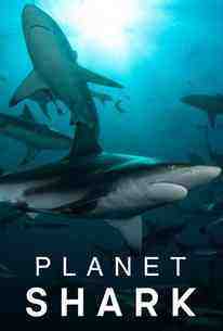 Planet Shark - Season 1 (2022)