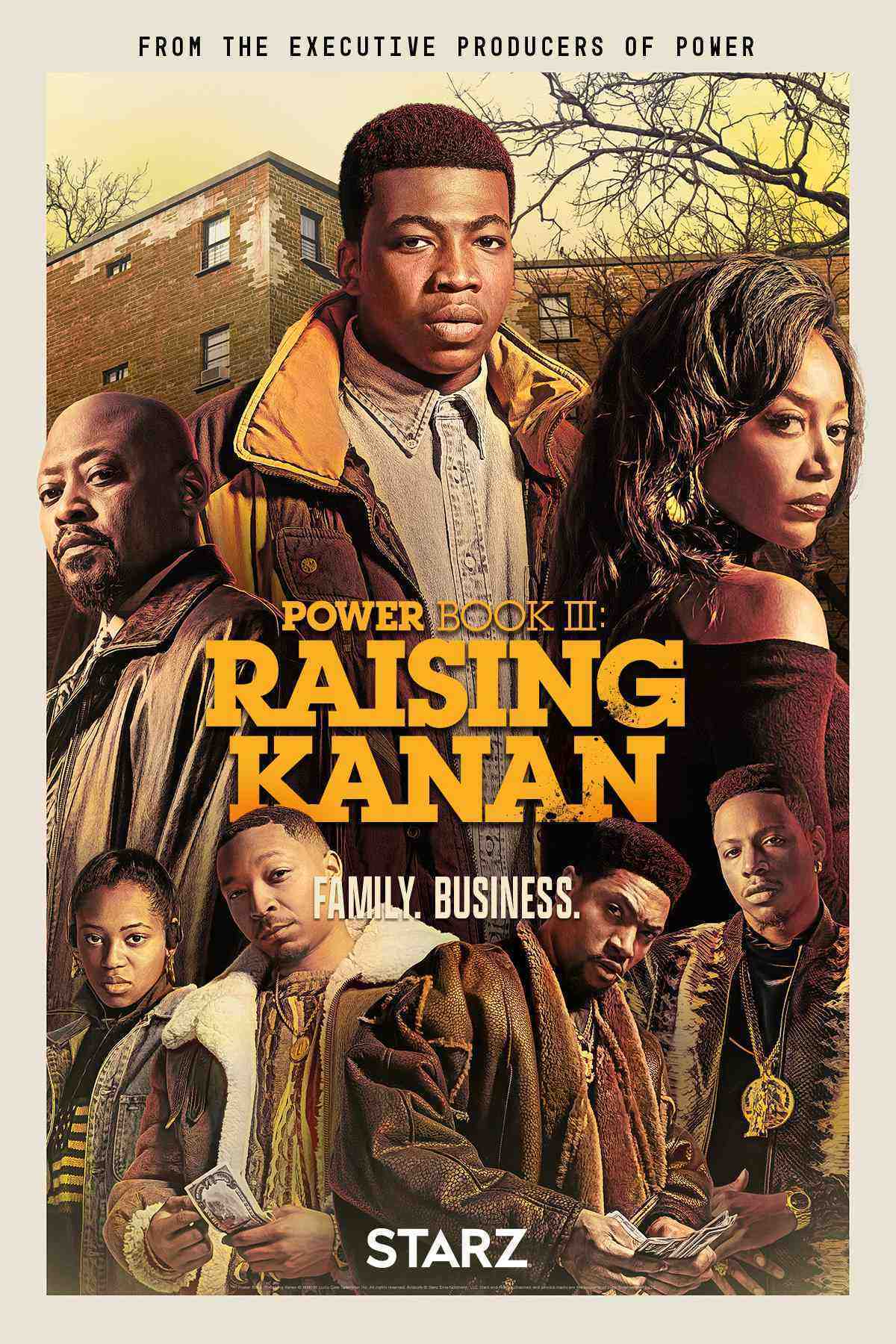 Power Book III: Raising Kanan - Season 2 (2022)