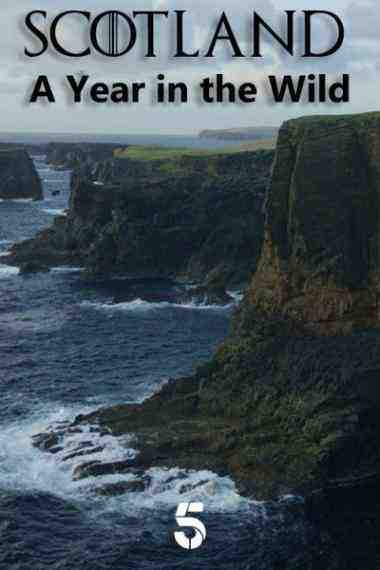 Scotland: A Wild Year - Season 1 (2021)
