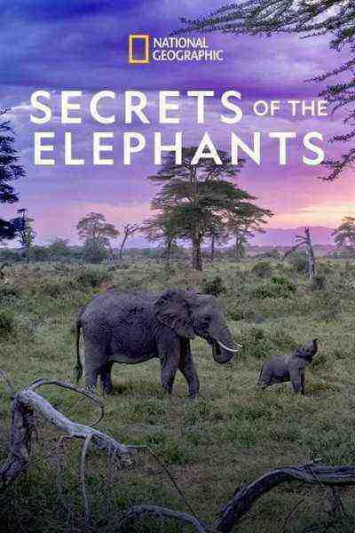 Secrets of the Elephants (0)