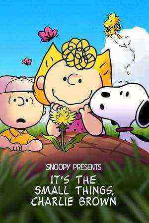 Snoopy Presents : Its The Small Things - Charlie Brown (2022)