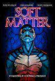 Soft Matter (2018)