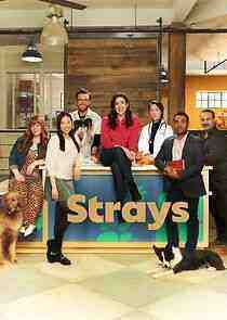 Strays - Season 2 (2022)