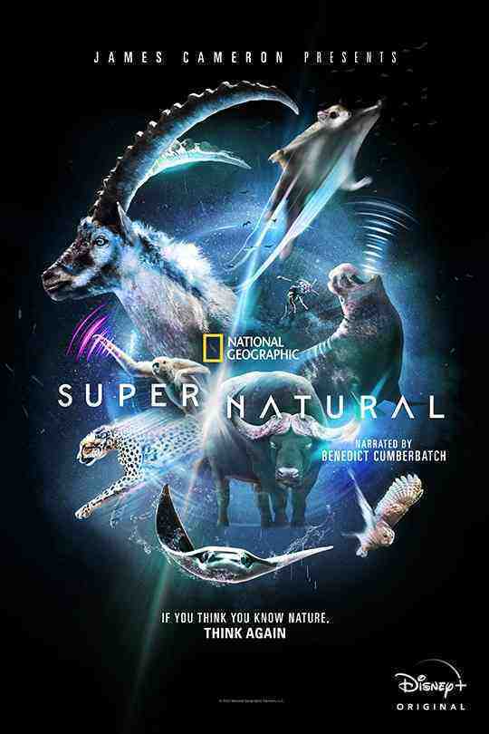Super/Natural - Season 1 (2022)