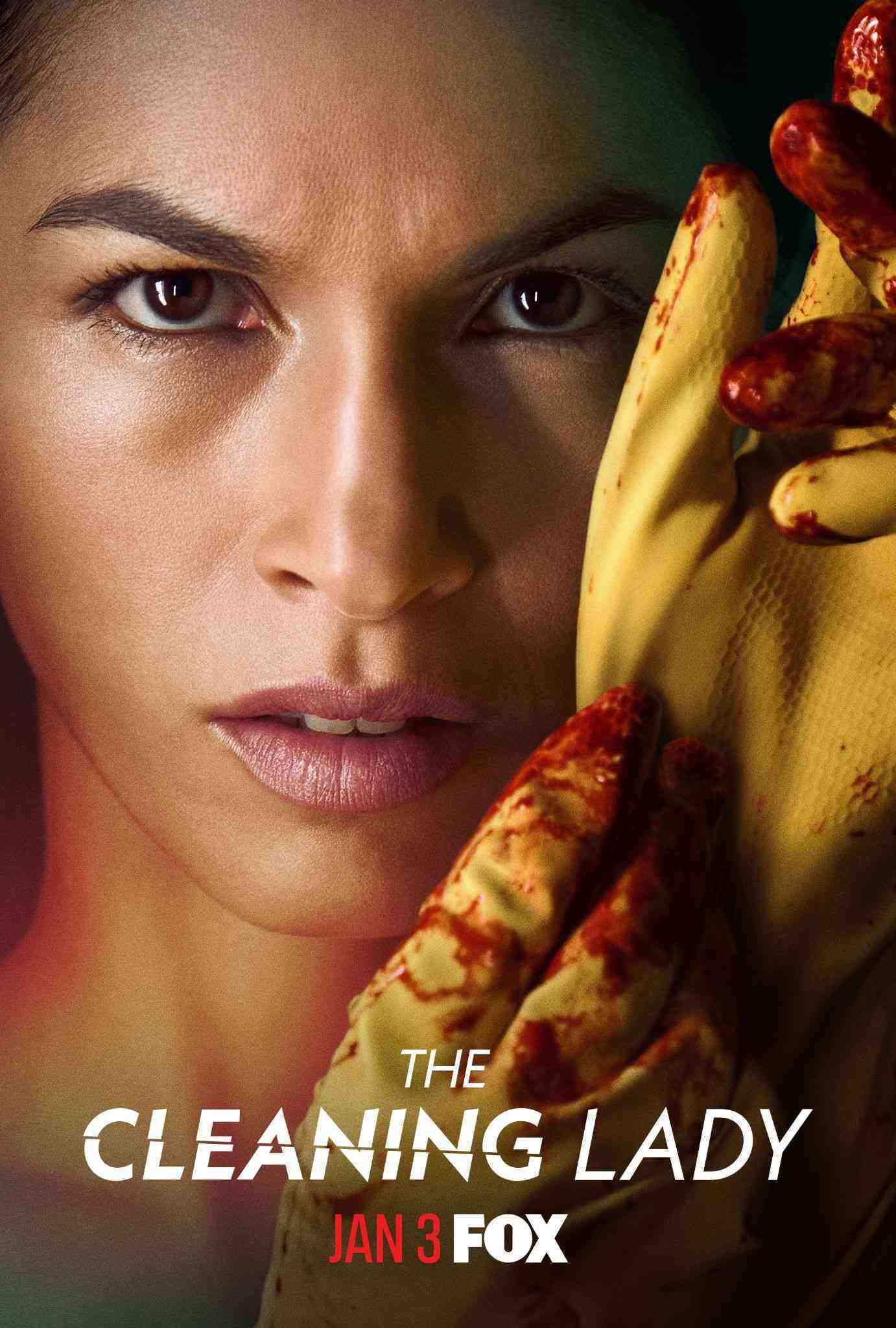 The Cleaning Lady - Season 2 (2022)