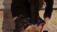 Theres Something About Sasha Grey CD01