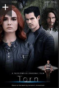 Torn: A Wicked Trilogy (2022)