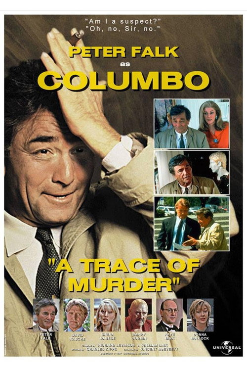 A Trace Of Murder (1997)