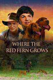 Where The Red Fern Grows (2003)