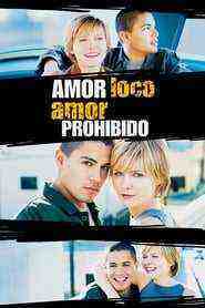 Crazy/beautiful (2001)