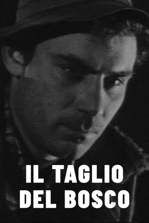 Il Taglio Del Bosco (1963)