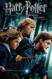 Harry Potter And The Deathly Hallows: Part 1 (2010)