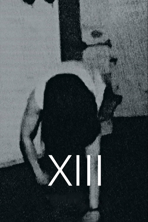 Xiii (2019)