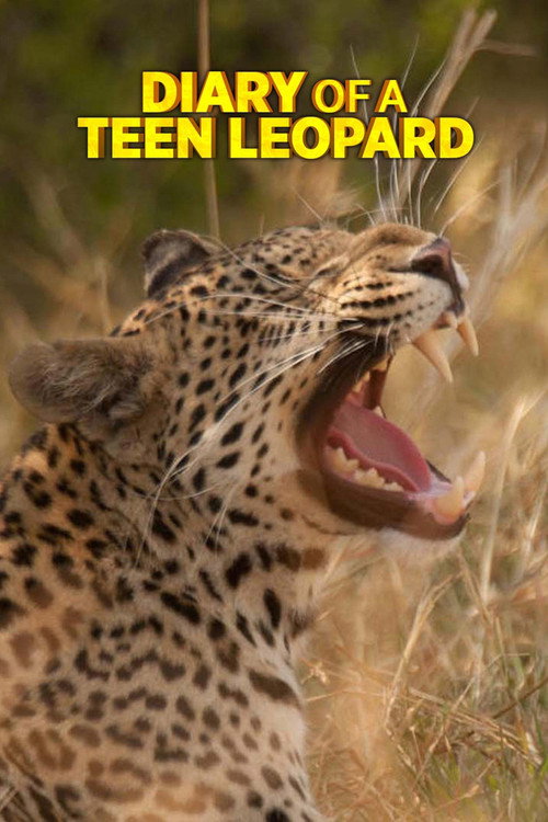 Diary Of A Teen Leopard (2020)