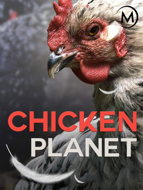 Chicken Planet (2016)