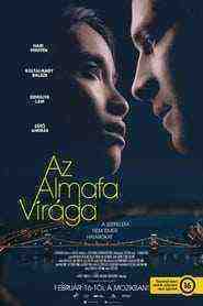 Az Almafa Viraga (2023)